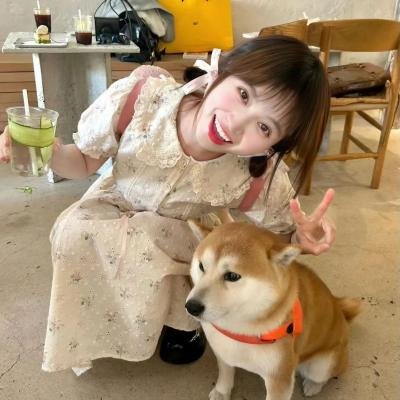 请勿打扰
